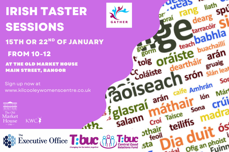 IRISH LANGUAGE TALK WEBSITE